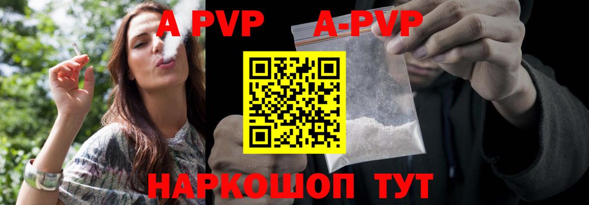 A PVP СК Элиста