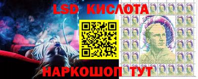 мяу мяу мука Малоярославец