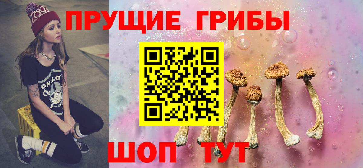 Псилоцибиновые грибы Psilocybine cubensis Элиста