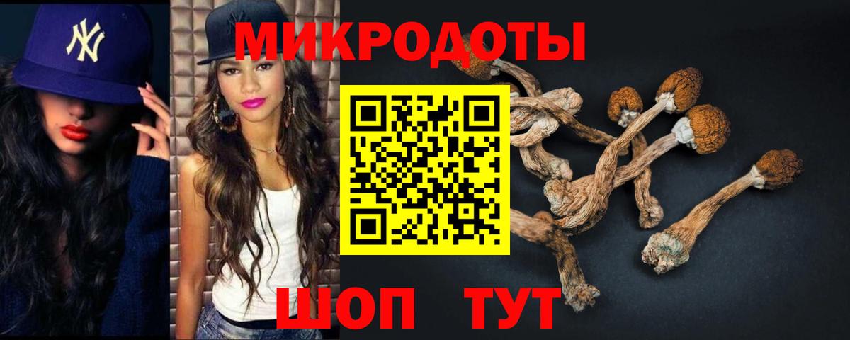 Элиста  Галлюциногенные грибы мицелий  Вход с VPN 