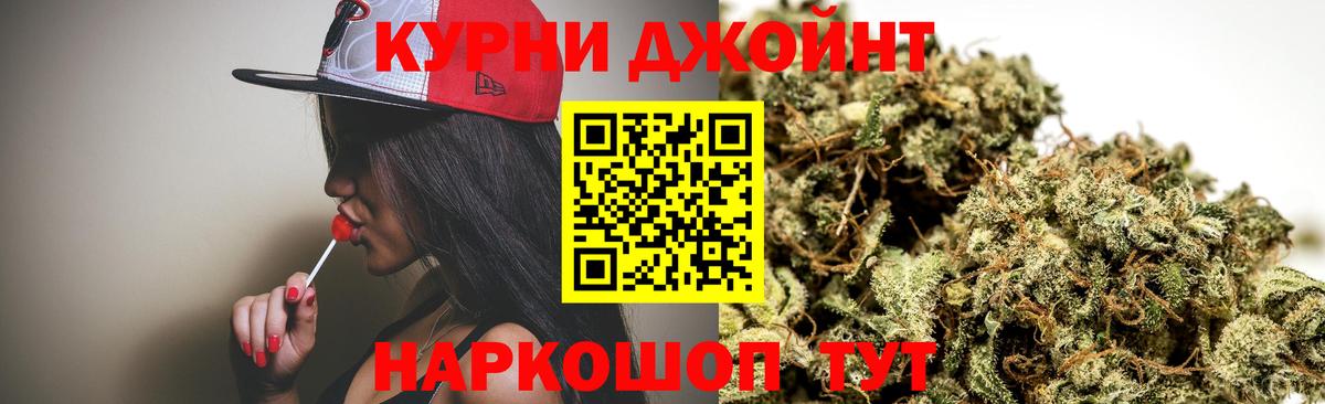 МАРИХУАНА ГИДРОПОН Элиста